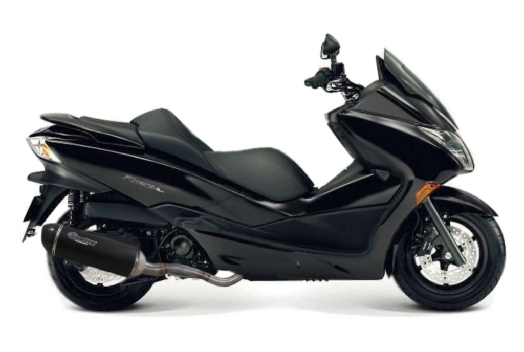 Marmitta Sport Carbon approvato per Honda Forza 250