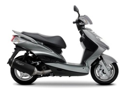 [JC6099ESTSPTCC] Marmitta Sport Carbon catalizzato e approvato per CYGNUS